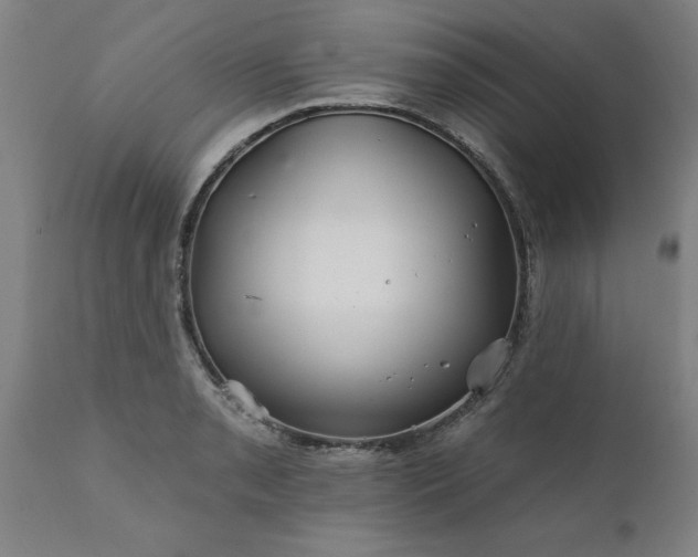 X0000111821085200907301251
