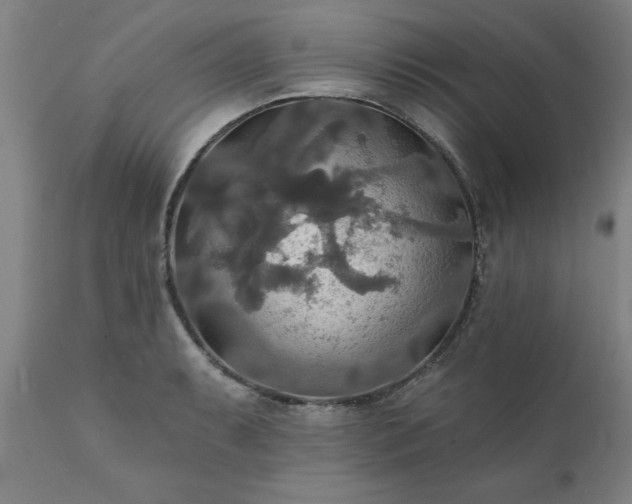 X0000111821087200907301251