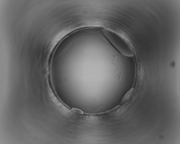 X0000111821088200907301251