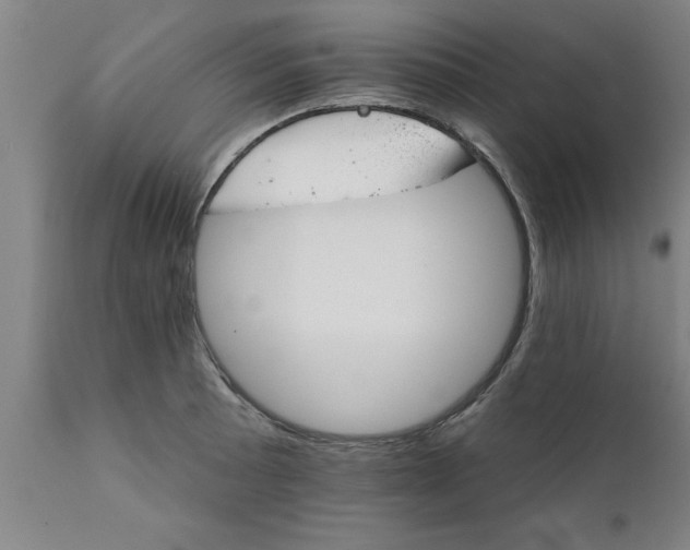 X0000111821089200907301251