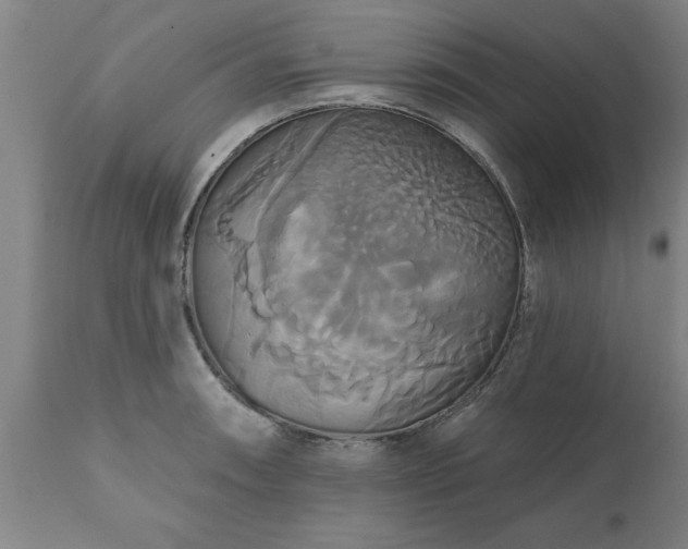 X0000111821090200907301251