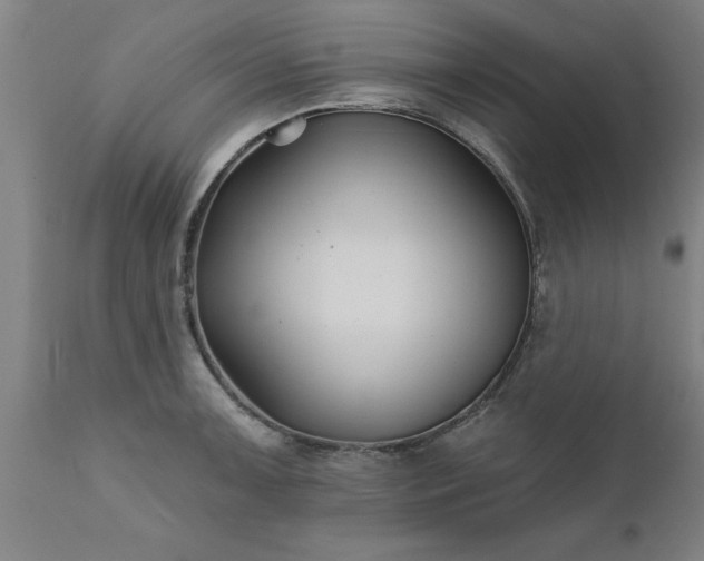 X0000111821091200907301251