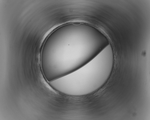 X0000111821092200907301251