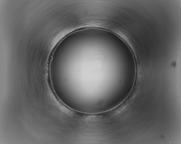 X0000111821093200907301251