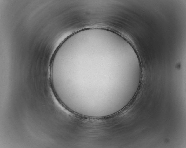 X0000111821095200907301251