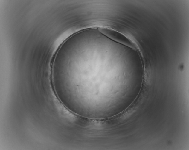 X0000111821096200907301251
