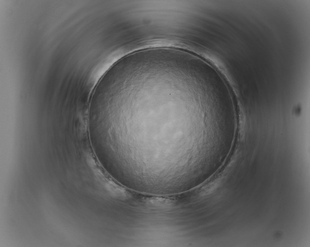 X0000111821097200907301251