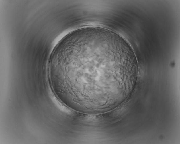 X0000111821098200907301251