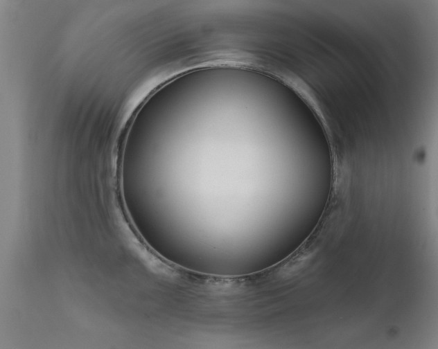 X0000111821099200907301251