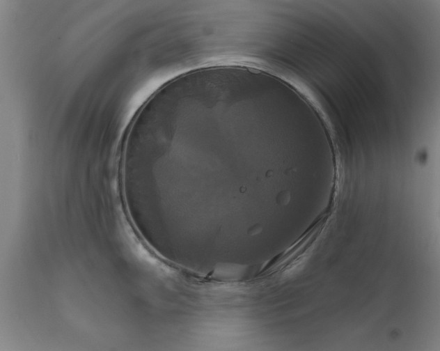 X0000111821102200907301251