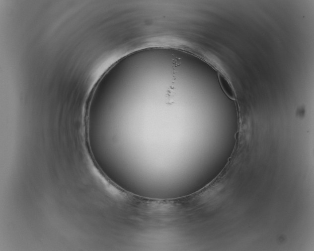 X0000111821103200907301251