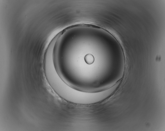 X0000111821104200907301251