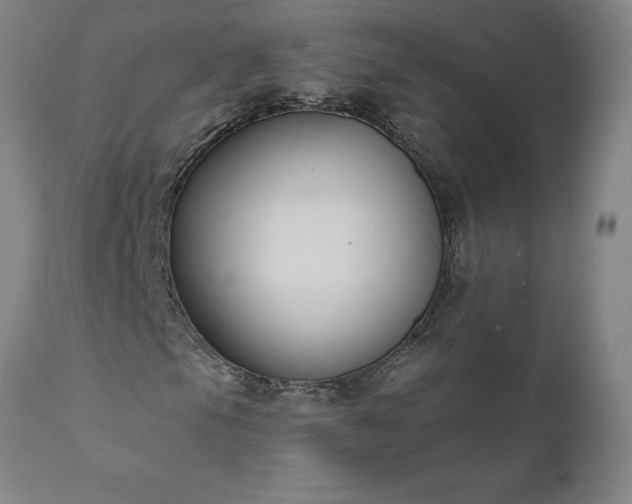 X0000111821105200907301250