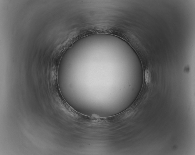 X0000111821107200907301250