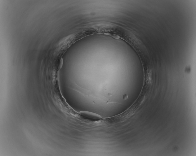 X0000111821108200907301250