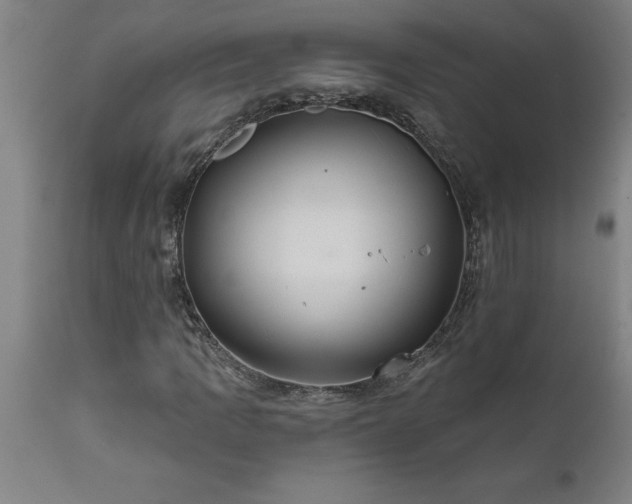 X0000111821109200907301250
