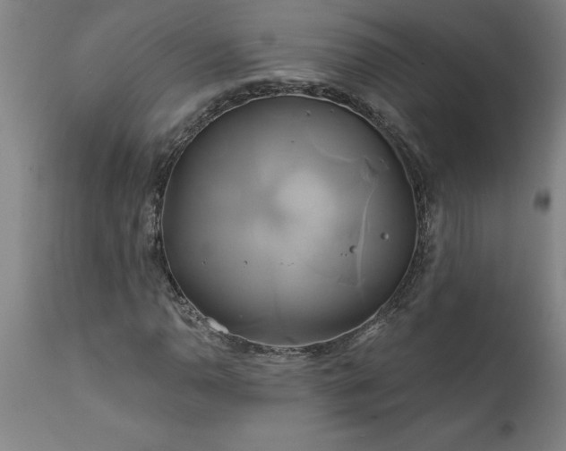 X0000111821110200907301250