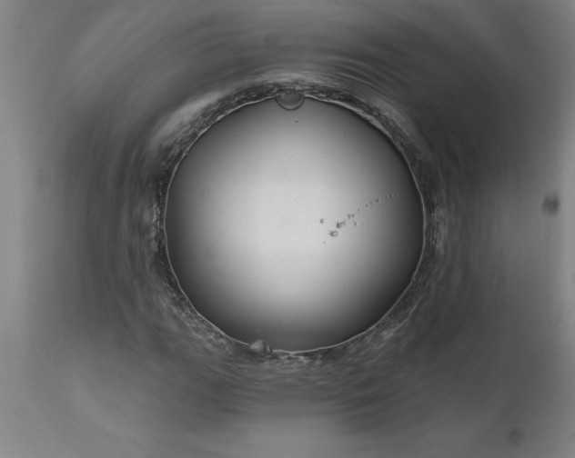 X0000111821111200907301250