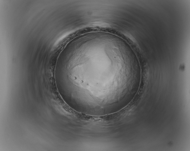 X0000111821112200907301250