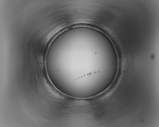 X0000111821113200907301250