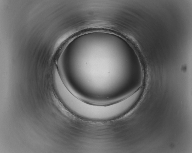 X0000111821114200907301250