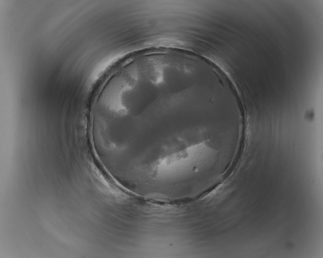 X0000111821115200907301250