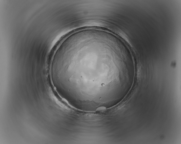 X0000111821116200907301250