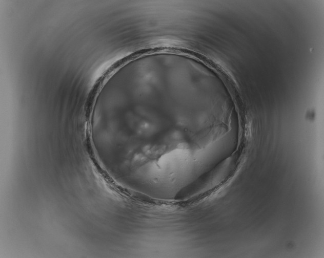 X0000111821117200907301250
