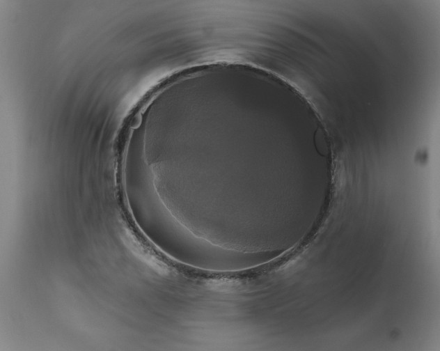 X0000111821118200907301250