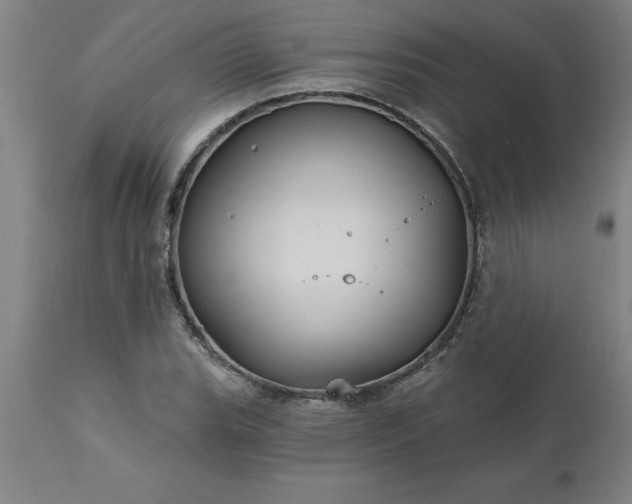 X0000111821119200907301250