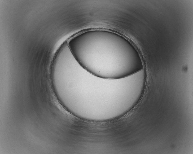 X0000111821120200907301250