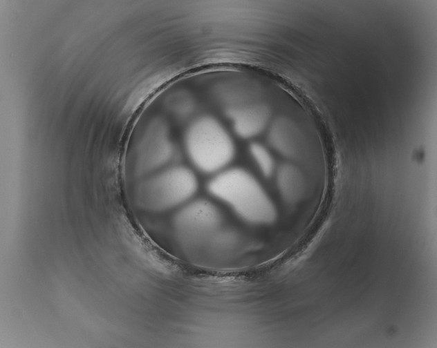 X0000111821121200907301250
