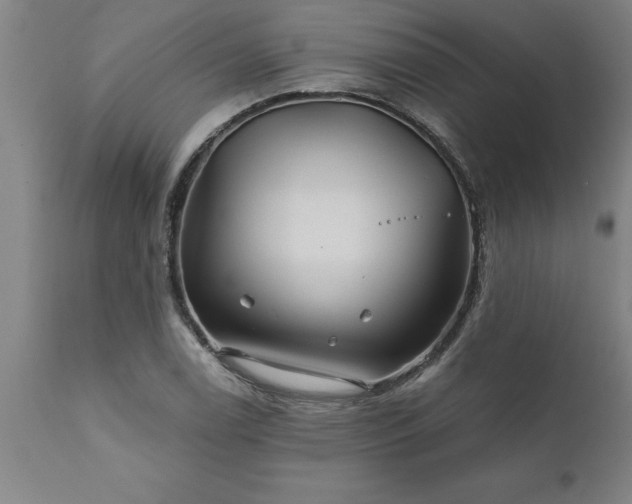 X0000111821122200907301250