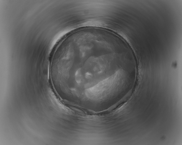 X0000111821123200907301250
