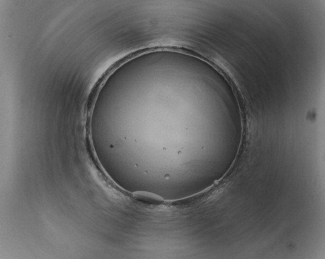 X0000111821124200907301250