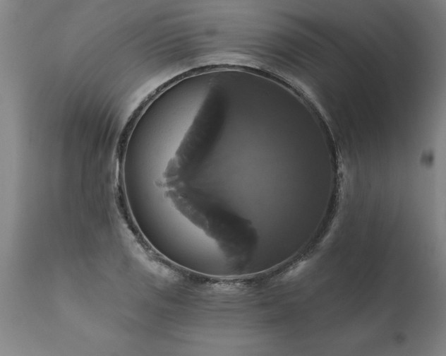 X0000111821125200907301250