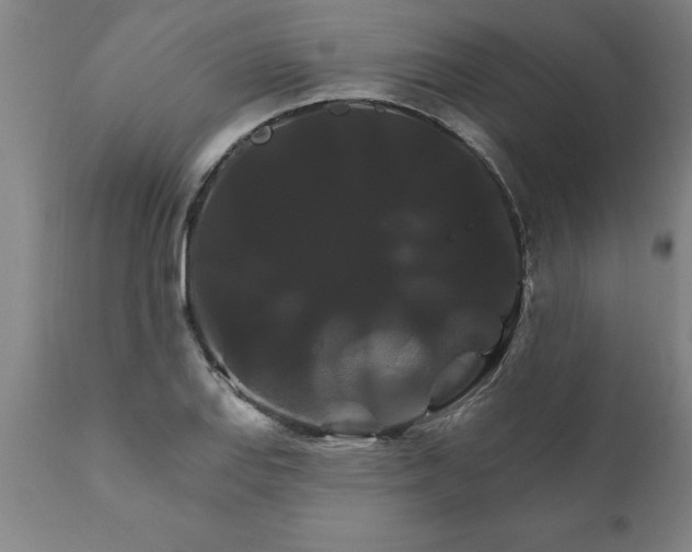 X0000111821127200907301250