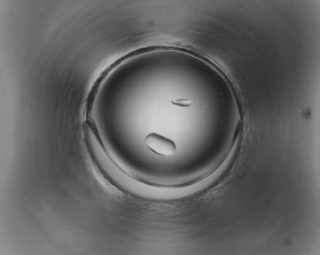 X0000111821128200907301250