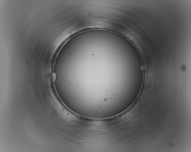 X0000111821130200907301250
