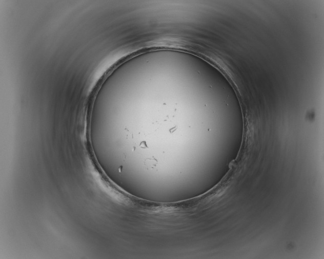 X0000111821131200907301250