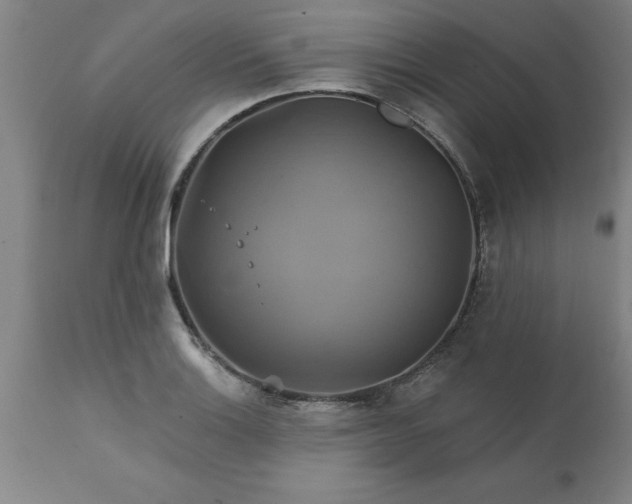 X0000111821132200907301250