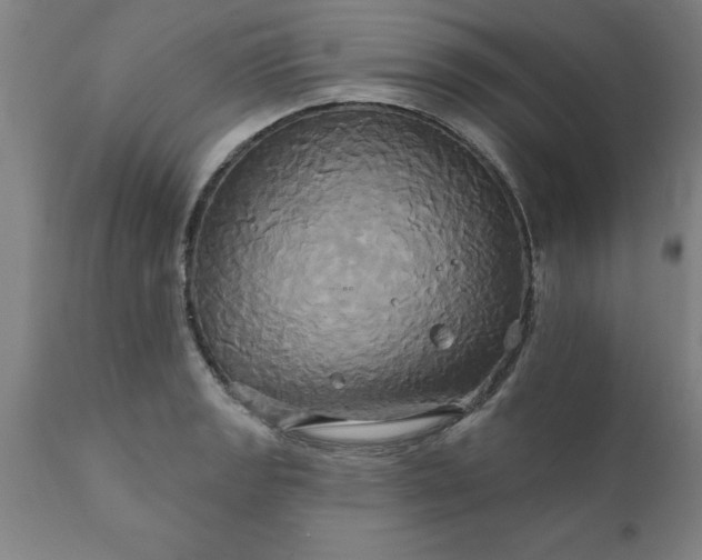 X0000111821133200907301250