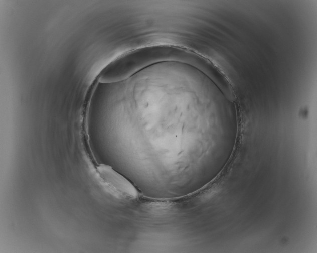 X0000111821134200907301250