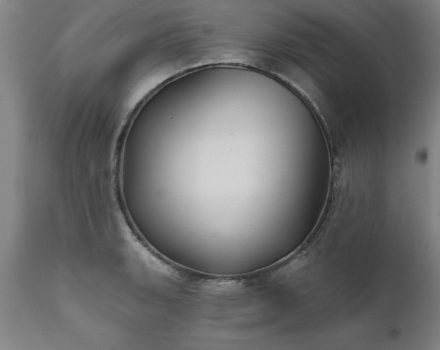 X0000111821135200907301250