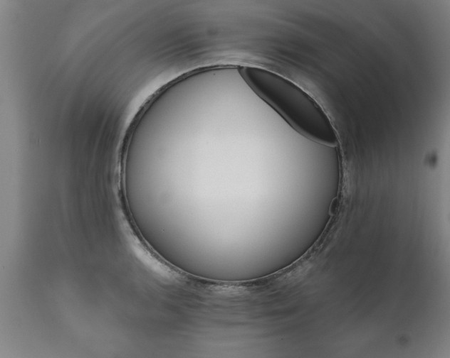 X0000111821136200907301250