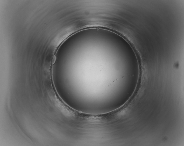 X0000111821137200907301250