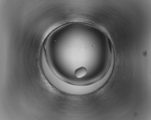 X0000111821138200907301250