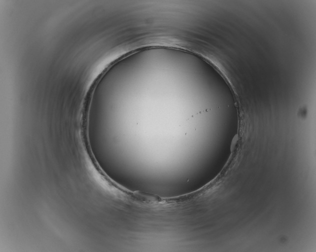 X0000111821139200907301250