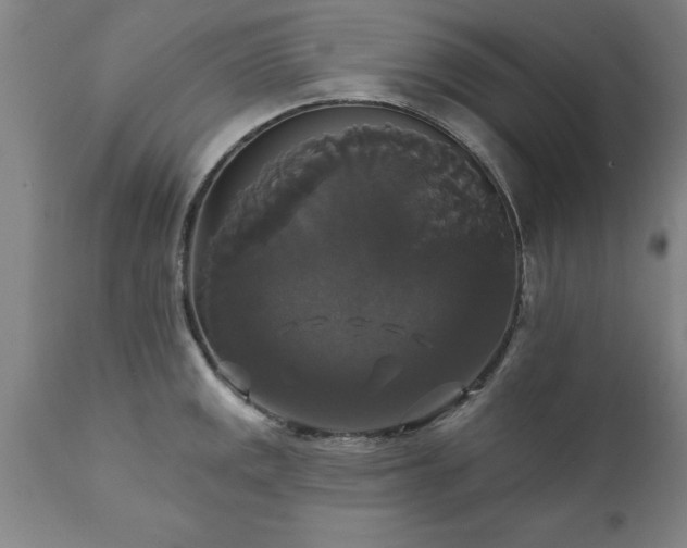 X0000111821141200907301250
