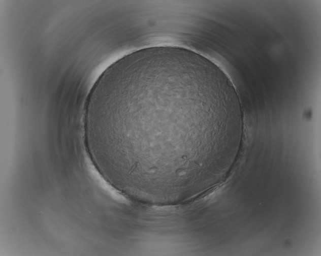 X0000111821142200907301250